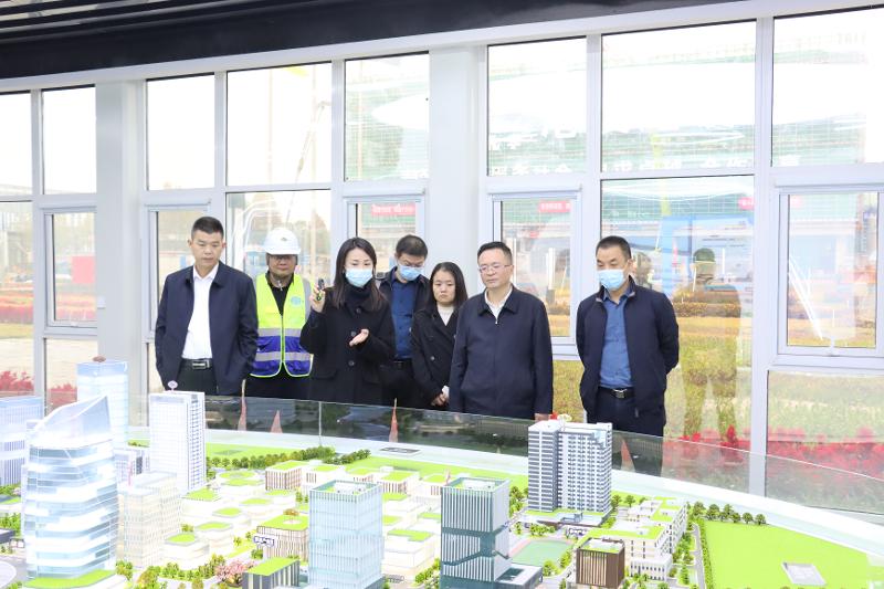 2022年11月，岳陽市人大常委會副主任喻文赴岳陽自貿(mào)片區(qū)產(chǎn)業(yè)綜合體項目調(diào)研