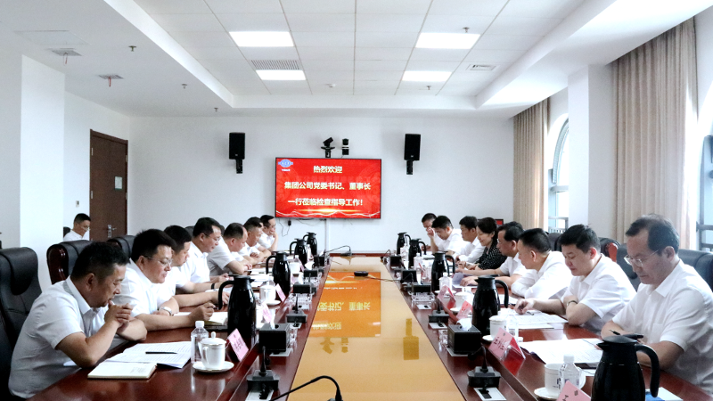 2022年6月，集團公司黨委書記、董事長戴和根一行到公司調研指導工作